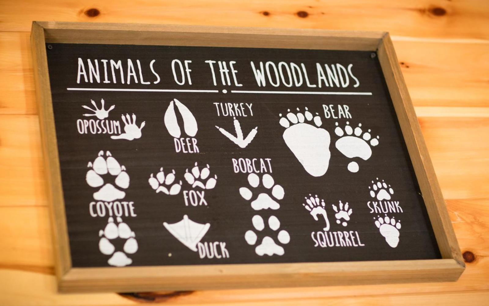 Villa Lifes A Bear Gatlinburg Exterior foto